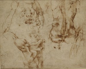 Studie van een rug en schouder door Michelangelo Buonarroti